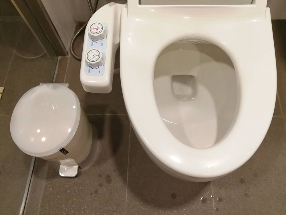 Faut-il choisir des WC japonais suspendus standard ?-1