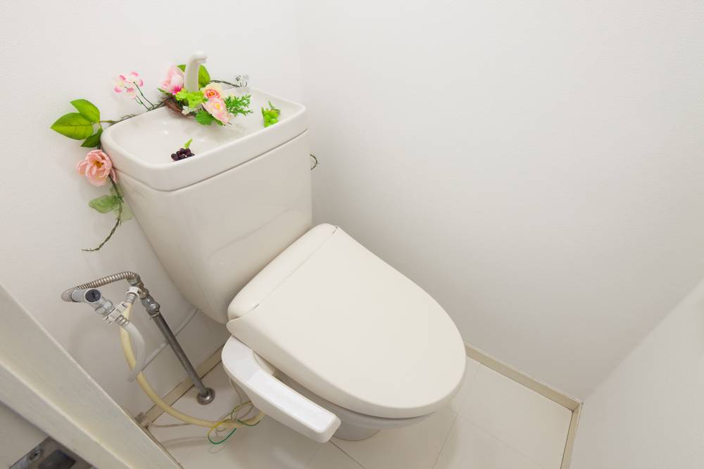 Quelles sont les fonctionnalités des WC japonais ?-2